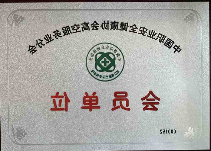 中国职业安全健康协会高空服务业分会